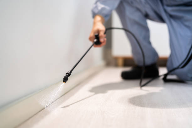 Licensed Cockroach Control service in Albany, GA - Nex Pest Control